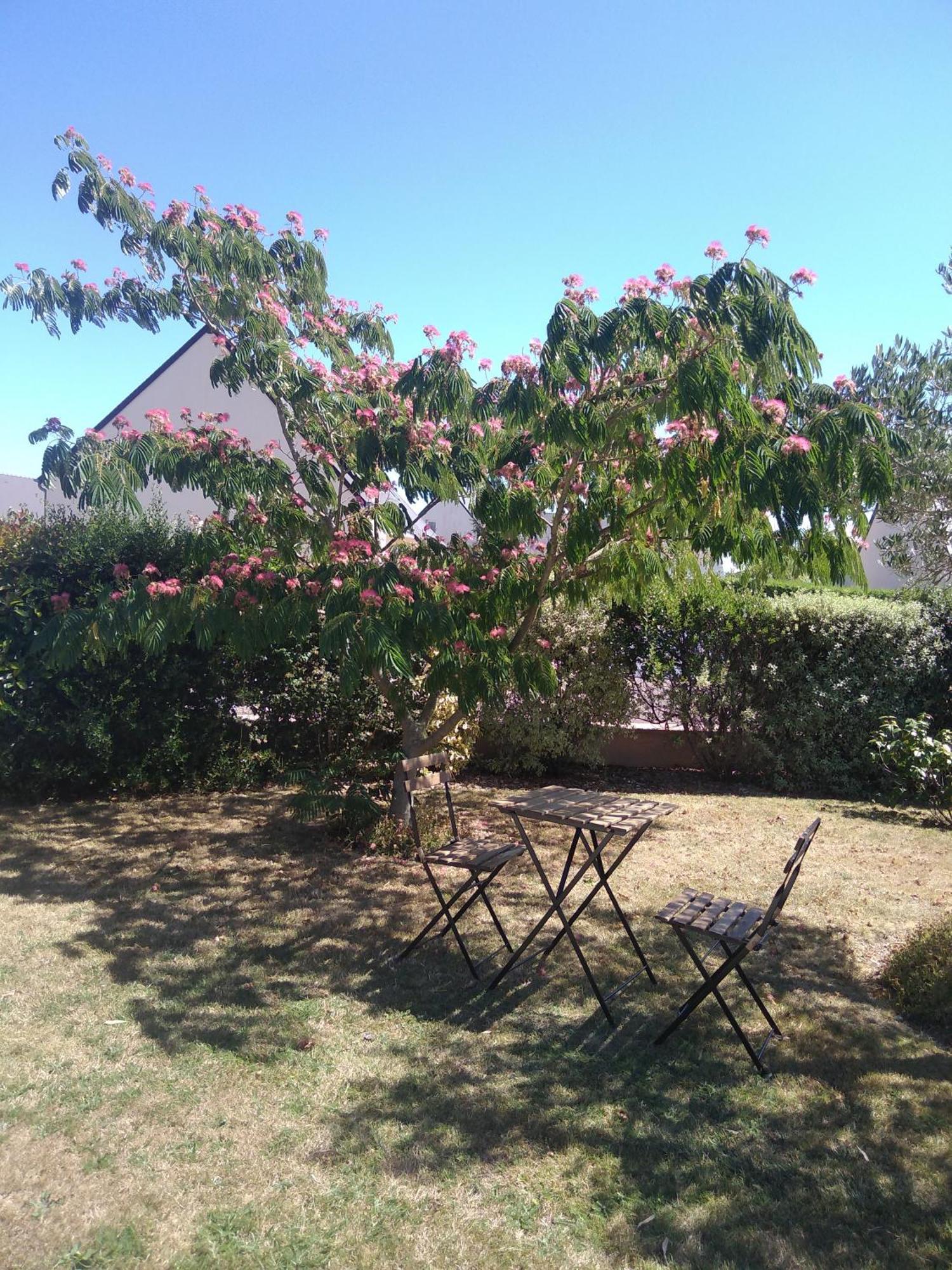 Chambre Agreable Au Calme Saint-Hilaire-Petitville Eksteriør billede